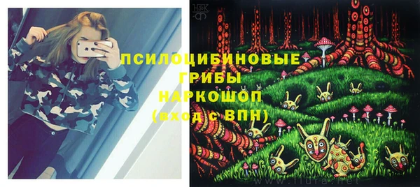 СК Лагань