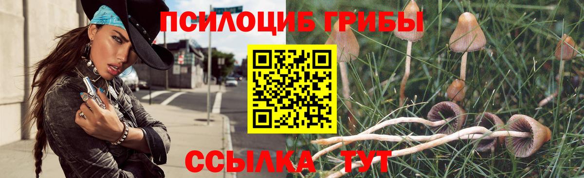Галлюциногенные грибы Psilocybe  Псилоцибиновые грибы Psilocybine cubensis  где купить   Батайск  Вход с VPN 