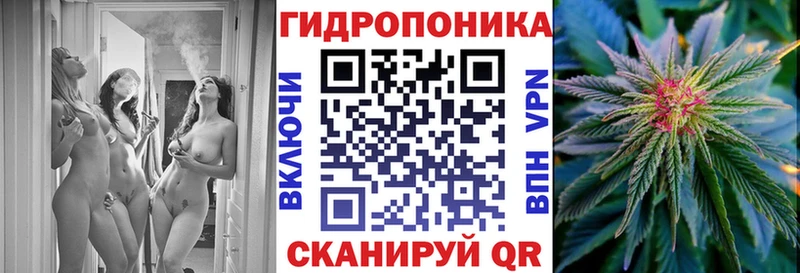 цена   Батайск  Канабис конопля 